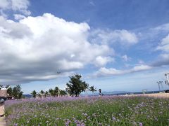 -玫瑰海岸文化旅游度假区