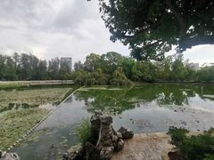-翠湖公园