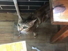 -御霞苑泥烩鸡休闲农庄