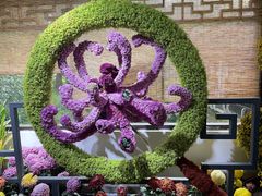 -杭州植物园
