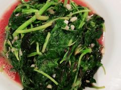 -丰收日(五角场店)