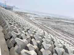 -南汇嘴观海公园