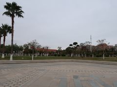 -集美学村
