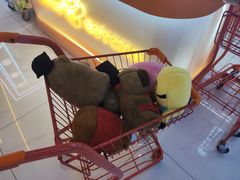 -可爱抓 COCO  GOTCHA(天津鹏欣水游城店)