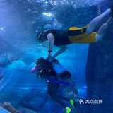 南京海底世界夜场开了[吐]