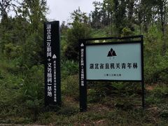 -青龙山国家森林公园