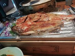 -毡房姑娘·新疆菜·烧烤