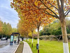 -云龙湖旅游景区