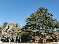 -北京市劳动人民文化宫(太庙)