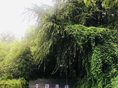 门面-先锋书店(五台山总店)