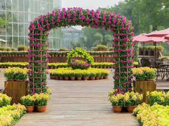 -南通洲际绿博园