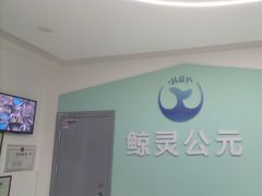 -鲸灵公元游泳中心