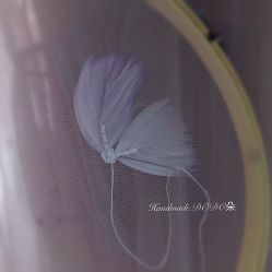 -沐曦摄影工作室