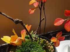 -普天和酒楼(天津之眼店)