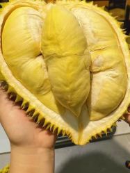 -禧月荟S月子中心(侨城店)