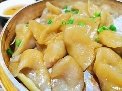 芋饺-一溜下