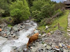 -硗碛藏寨·神木垒景区