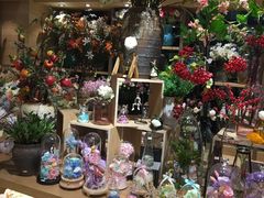 -G·SPACE(金鹰世界店)