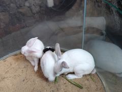 -正佳雨林生态植物园