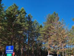 -北极村旅游风景区