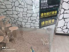 -海合安武汉极地海洋公园