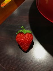 -幻贝家儿童乐园(哈尔滨王府井店)