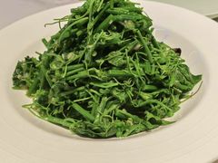 凉拌丝瓜苗-佳和水饺(海德公馆店)