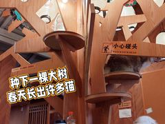 -MOCHA明星猫咖(田子坊店)