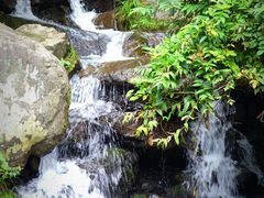 -藏龙百瀑风景区