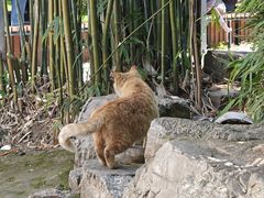 -堤角公园