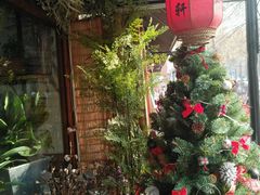 -宝鸡东道花鸟鱼虫市场(吉利花园商场店)
