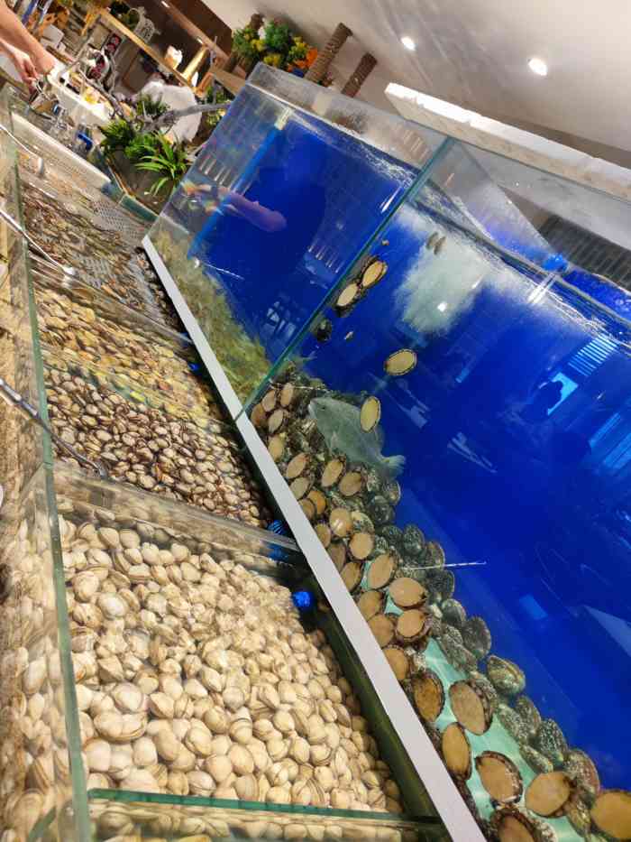 乐岛假日海鲜自助-"整体评价:8282828282减肥了一段时间,然