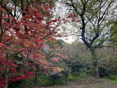 -穹窿山景区