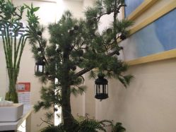 -芳朵美容养生SPA