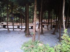 -重庆睡佛山森林公园