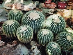 -国家植物园南园