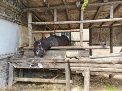 -清风小镇闯关东影视基地