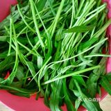 007的厨房之蒜蓉空心菜