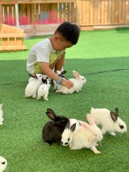 -萌宠亲子动物乐园(槐房万达店)