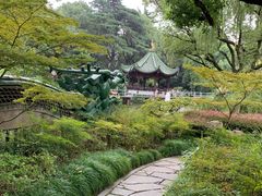 -申粤轩酒楼·三十年粤菜经典(丁香花园店)