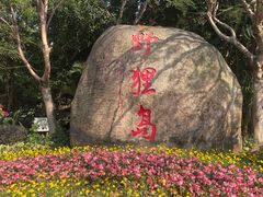 -野狸岛