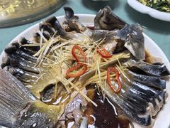 -煲来饱去冷水鱼