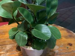 -雕刻时光咖啡馆(北航店)