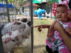 -萌宠亲子动物乐园(槐房万达店)