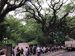-九龙公园
