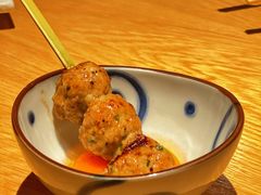 -鳥焱商店(王府大街店)