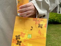 -奈雪的茶(正弘城PRO+店)