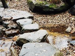 -驼梁风景区