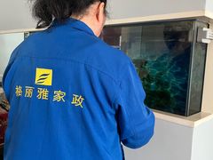 -武汉格丽雅家政 保洁清洗
