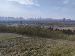 -汉长安城未央宫国家考古遗址公园